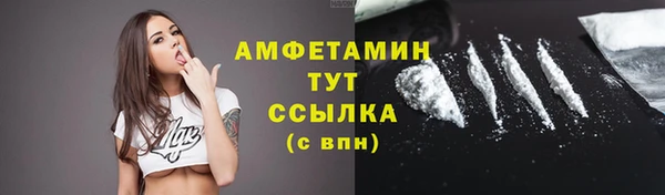 ГАЛЛЮЦИНОГЕННЫЕ ГРИБЫ Кукмор