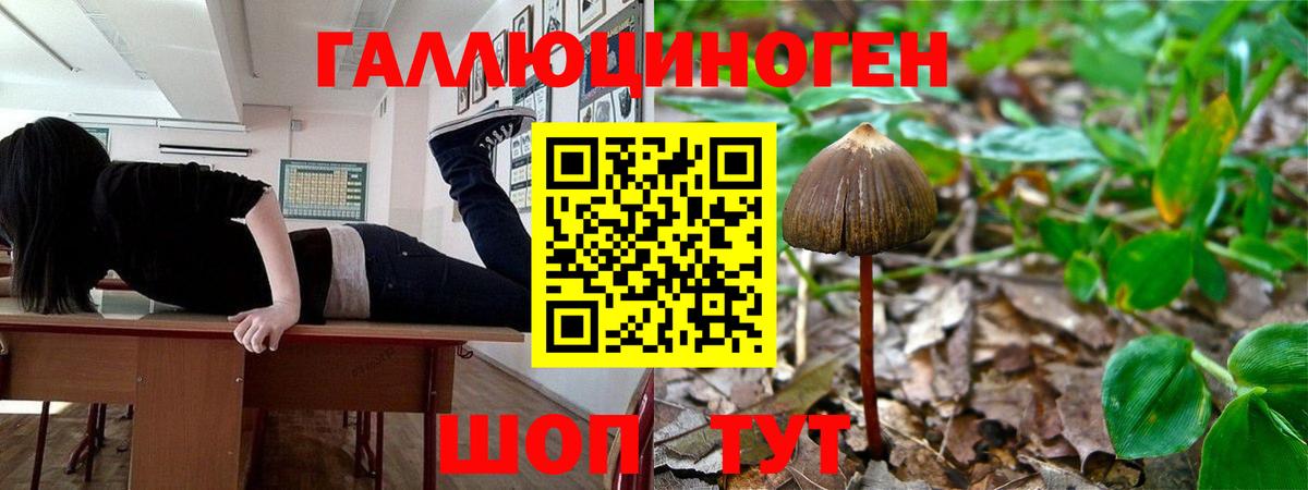 Заречный  Галлюциногенные грибы MAGIC MUSHROOMS  Вход с VPN 